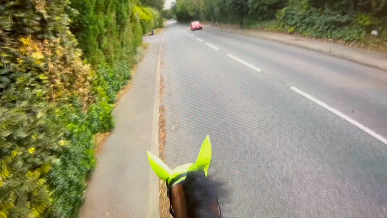 Advert Thumbnail