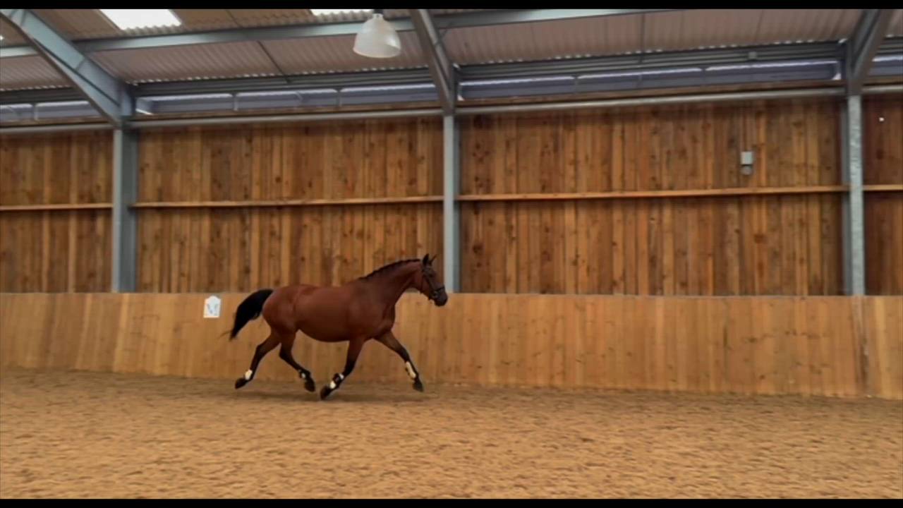Advert Thumbnail