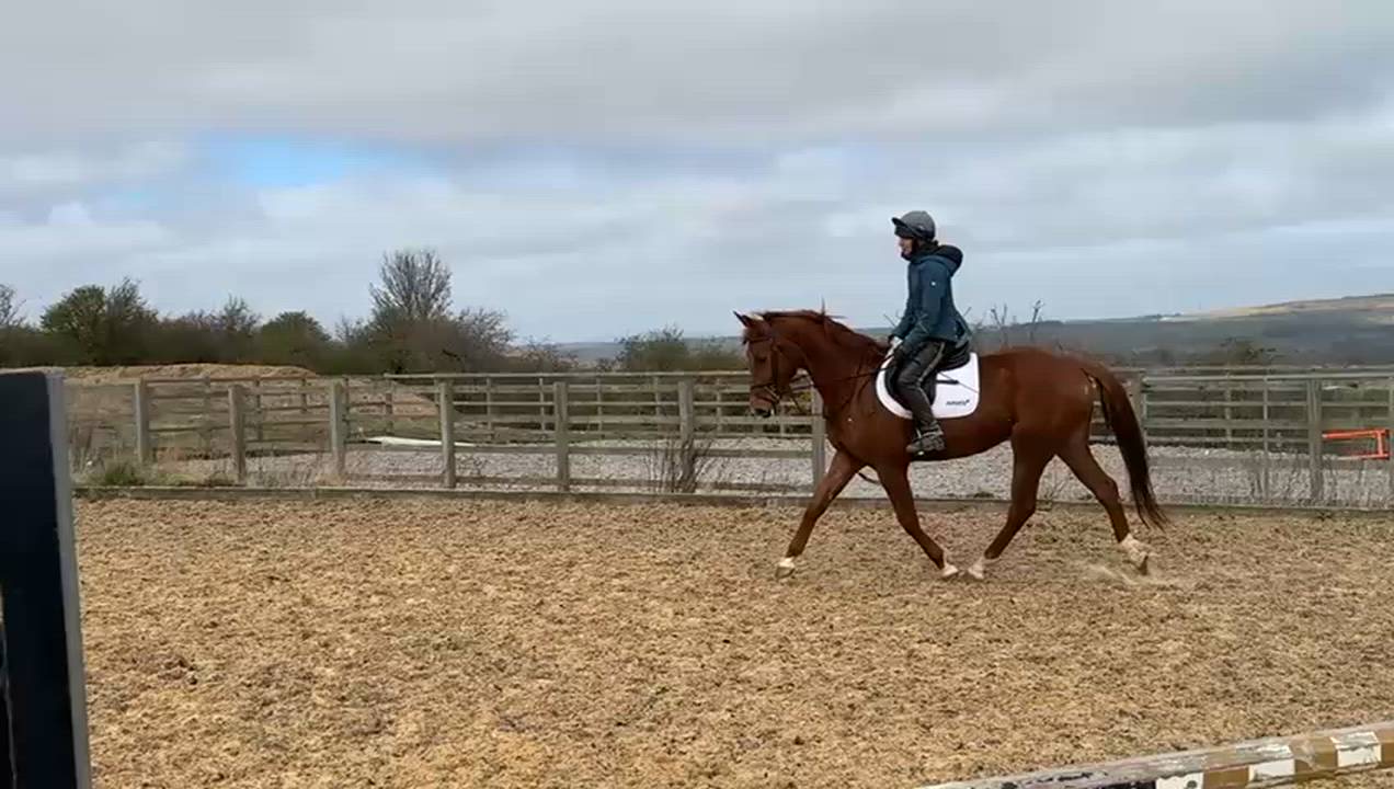 Tom - stunning all rounder with potential