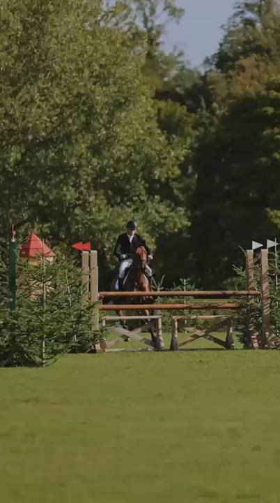Good Honest Allrounder by Big Star