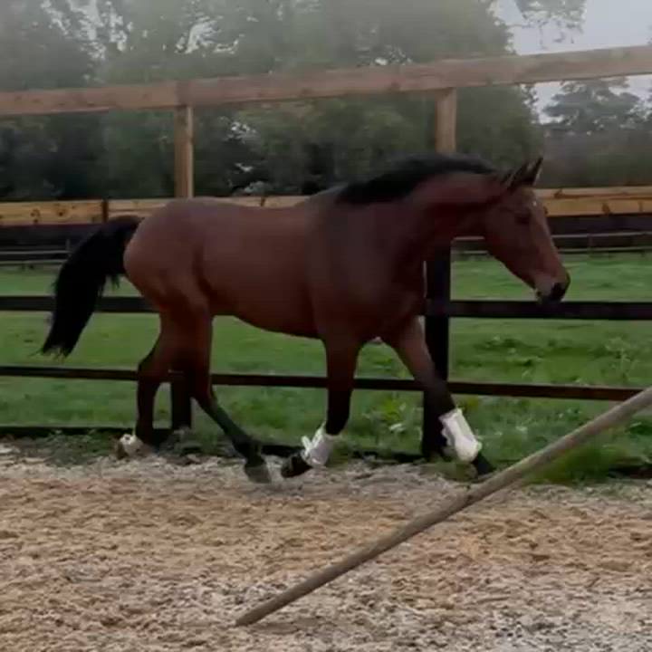 Kind, Talented ISH by French Connection