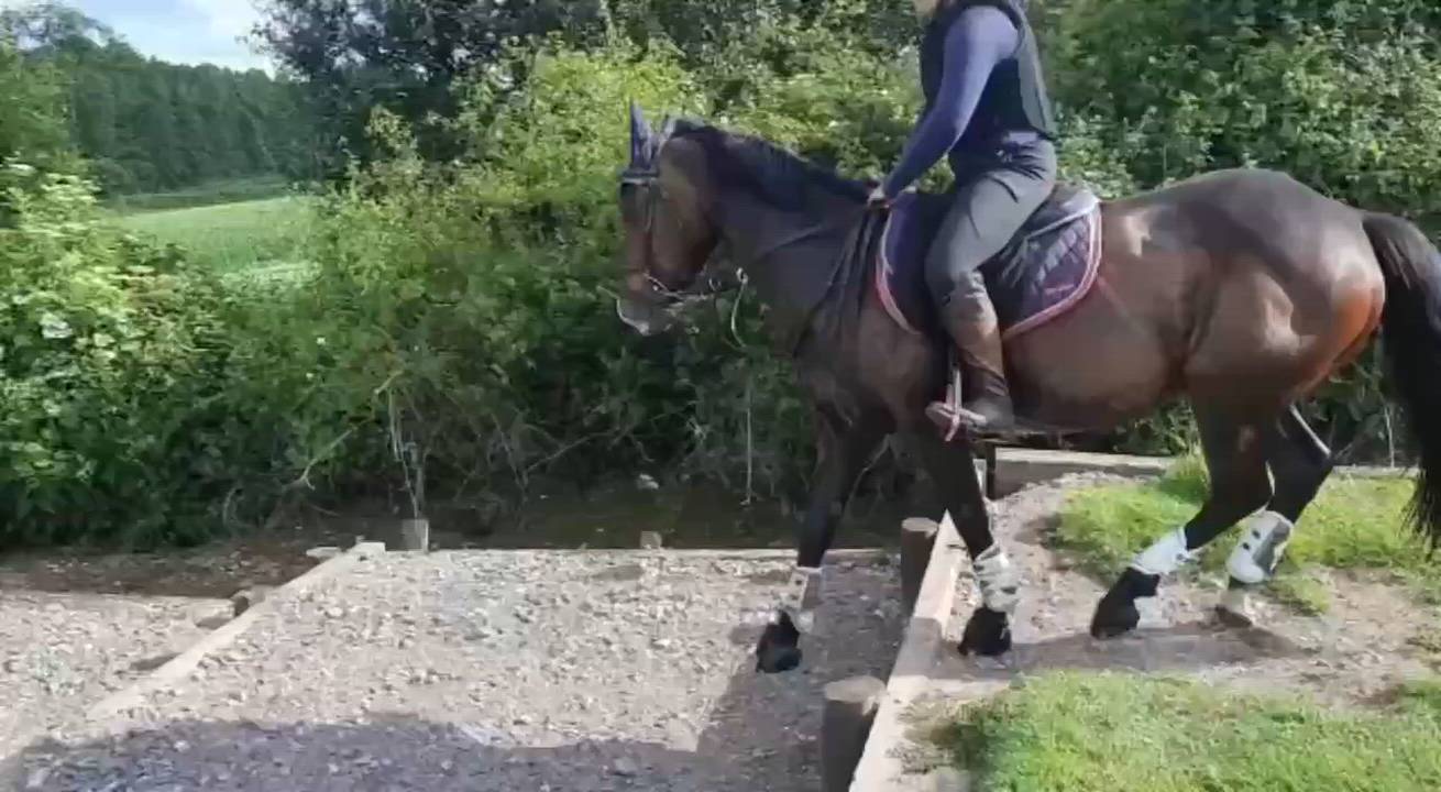 One in a million pc pony